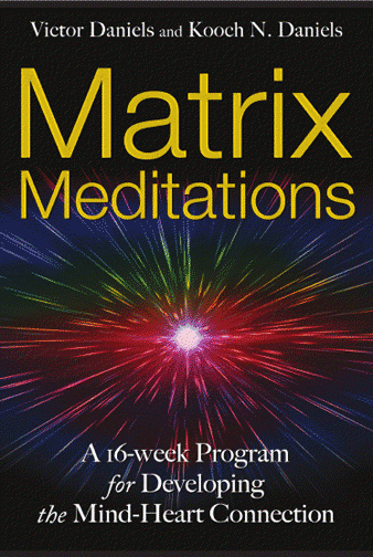 cover of Matrix Meditations